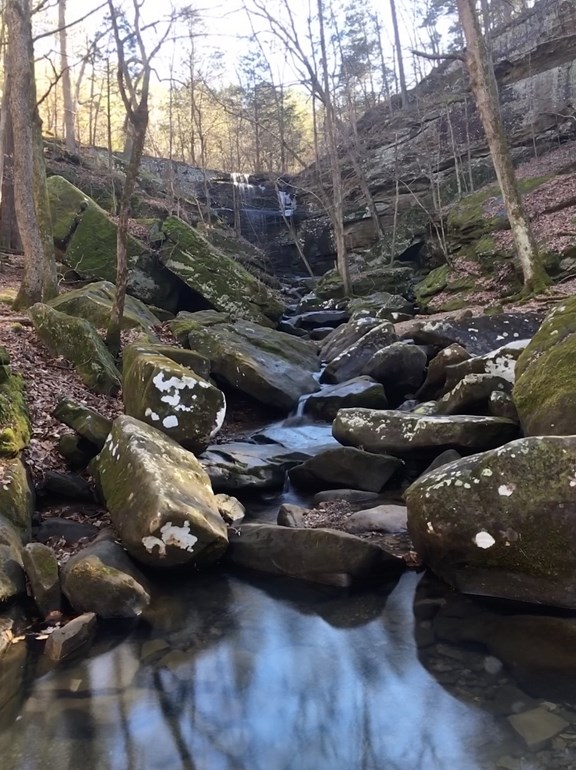 Burden Fall Wilderness