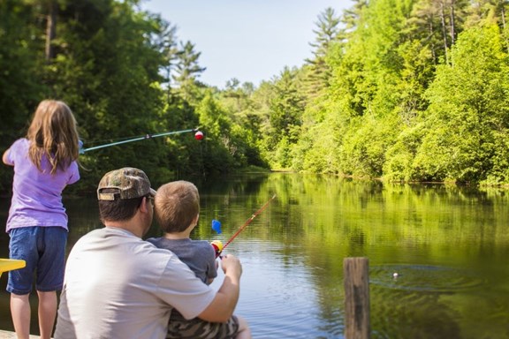 Experience the Mississippi River