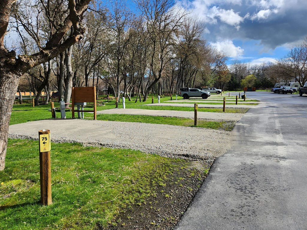 New Sites Added to the Campground