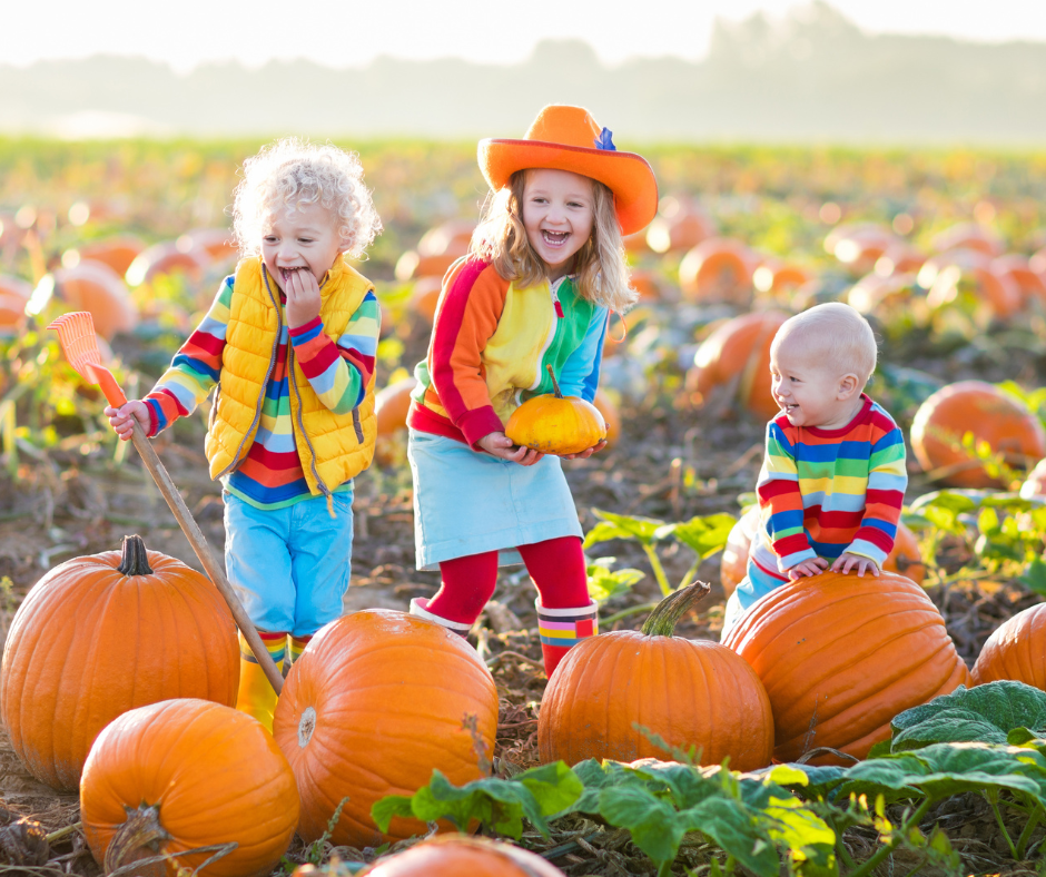 Fall Events in Southern Oregon