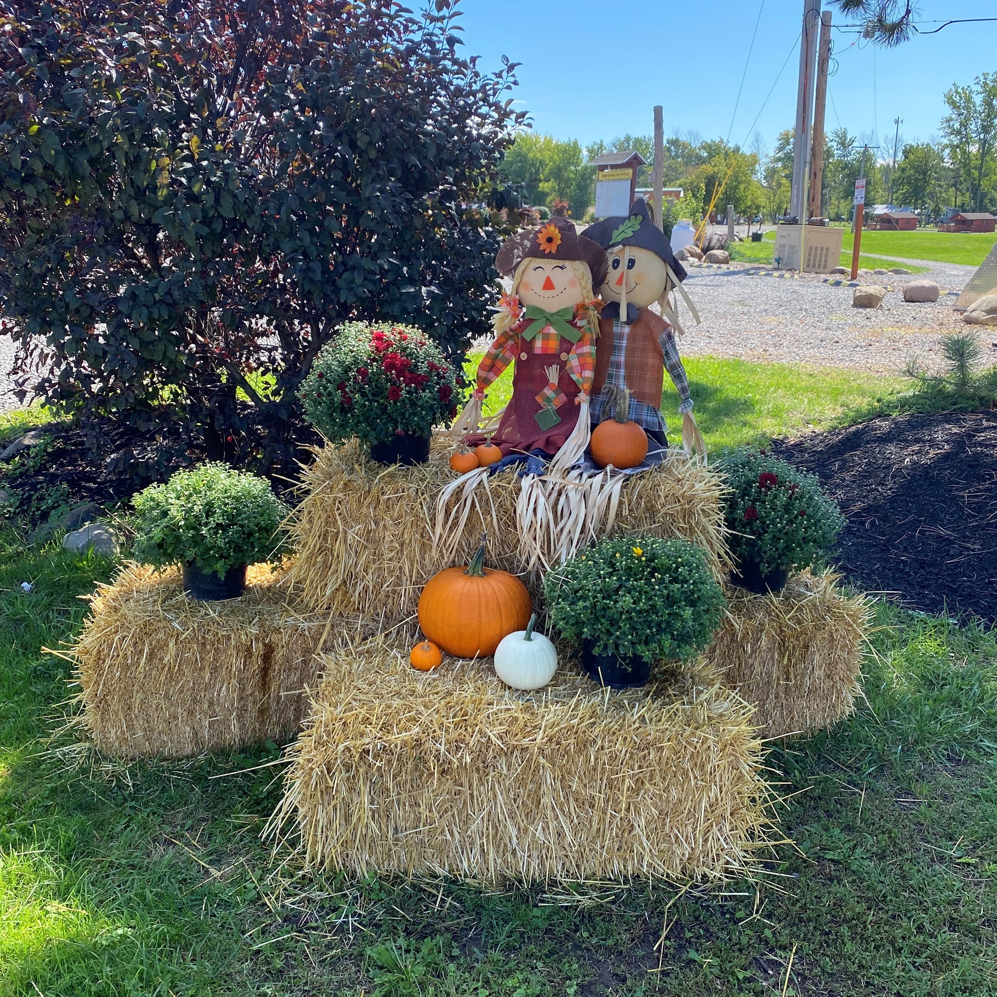 Octoberfest / KOA Rewards Appreciation Weekend Photo