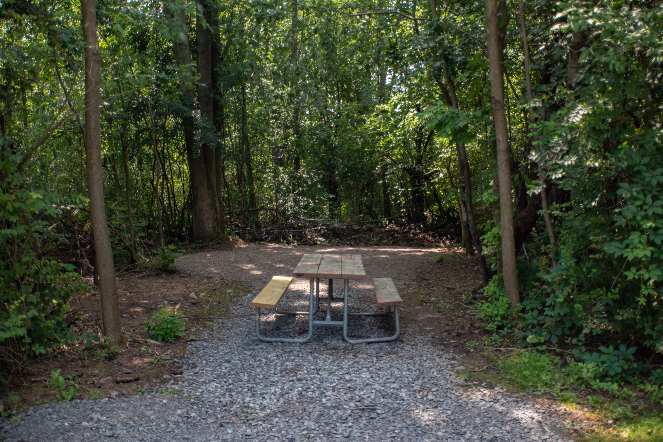 Tent Site