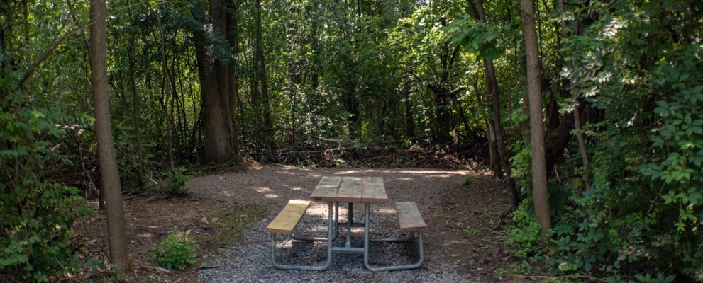 Tent Site