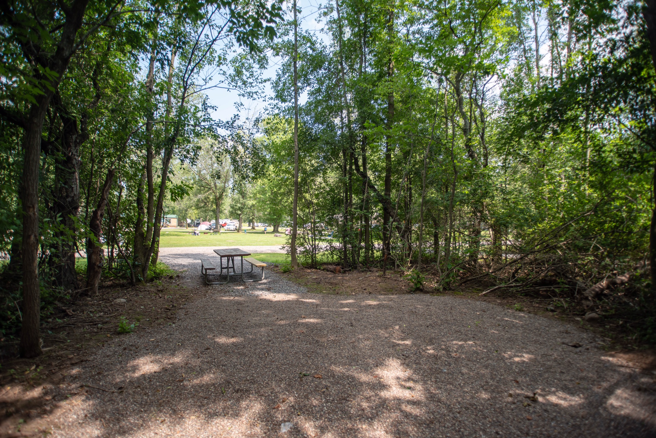 Tent Site