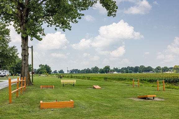 Cornhole
