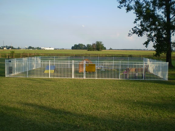 Kamp K9 Doggie Playground