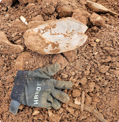 Ron Coleman Mining