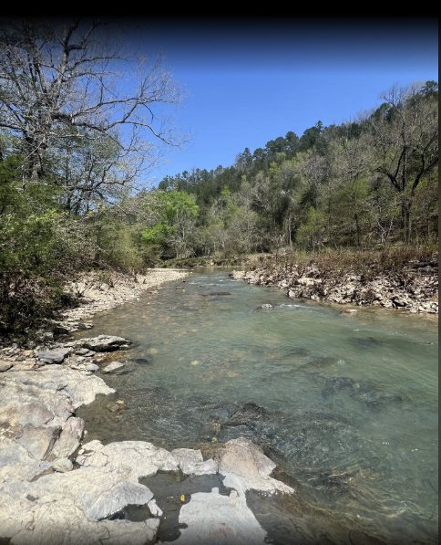 Harris Creek Trail