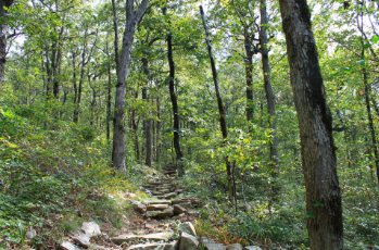 Queen Wilhelmina Reservoir Hiking Trail: 0.9 mi: Moderate