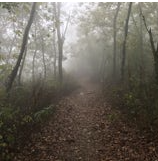 Settler's Ridge Hiking Trail: 1.6 mi: Easy