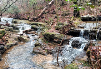 Janey Falls and Avery Falls Hking Trail: 2 mi: Easy
