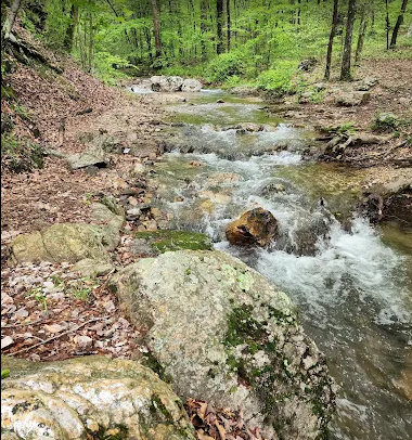 Buckeye and Caney Creek Loop Hiking Trail: 9.6 mi: Hard