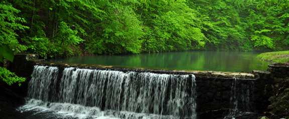 Bard Springs Recreation Area