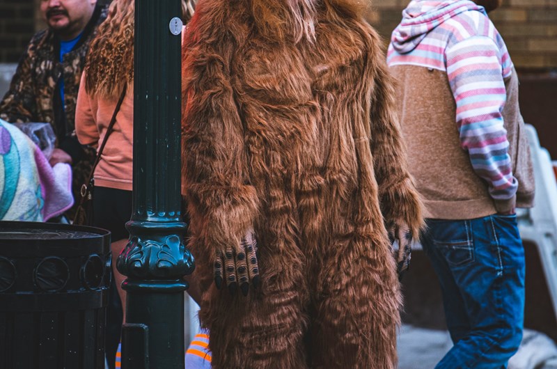 Ouachita Bigfoot Festival & Conference Photo