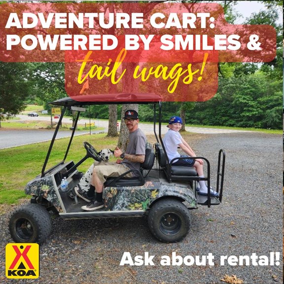 Welcome to the Mena / Ouachita National Forest KOA Journey