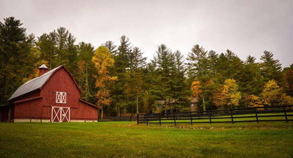 Amish Country Tours