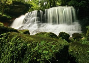 Leesburg Falls - 10 Minutes