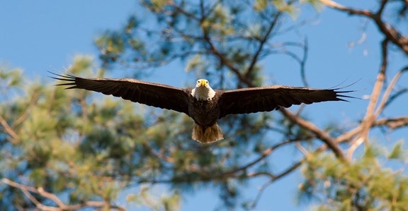 Maurice K. Goddard State Park- 30 Minutes