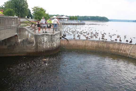 Pymatuning Reservoir Spillway - 50 Minutes