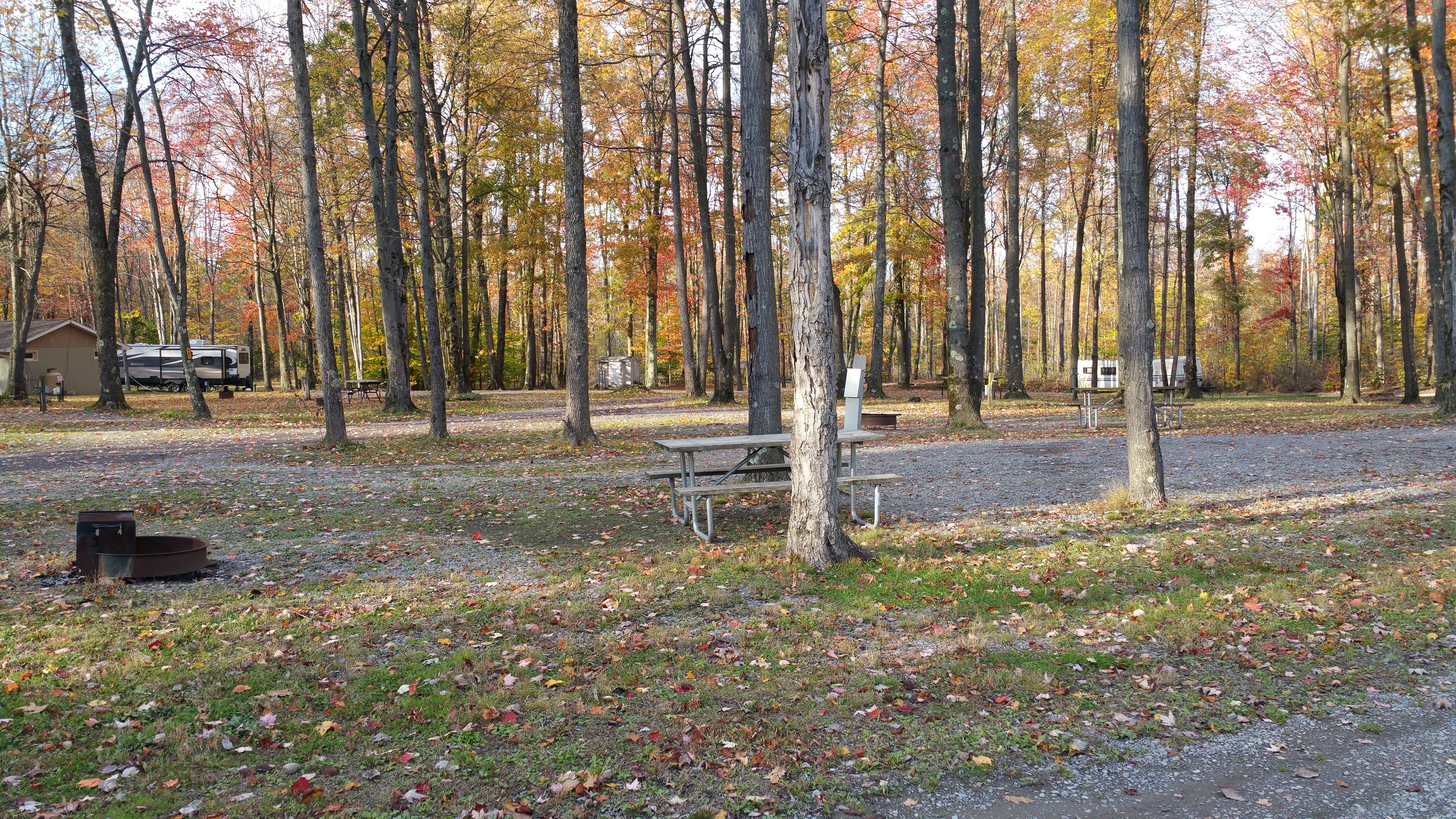 Site 128 Fall