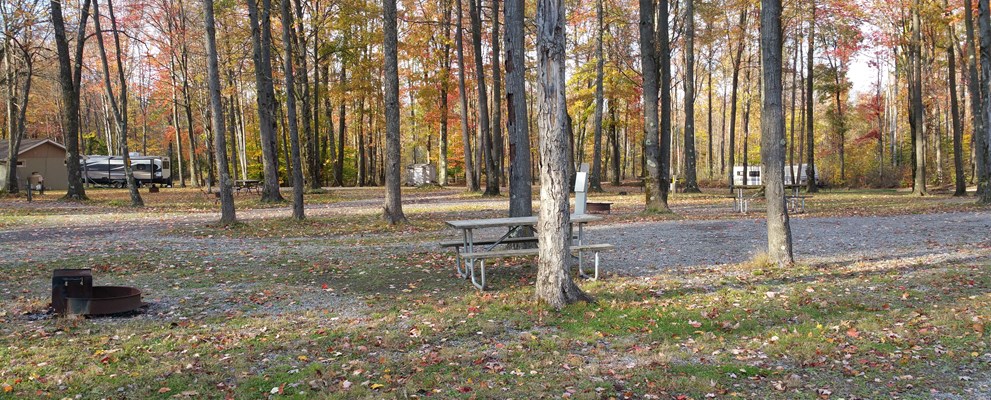 Site 128 Fall