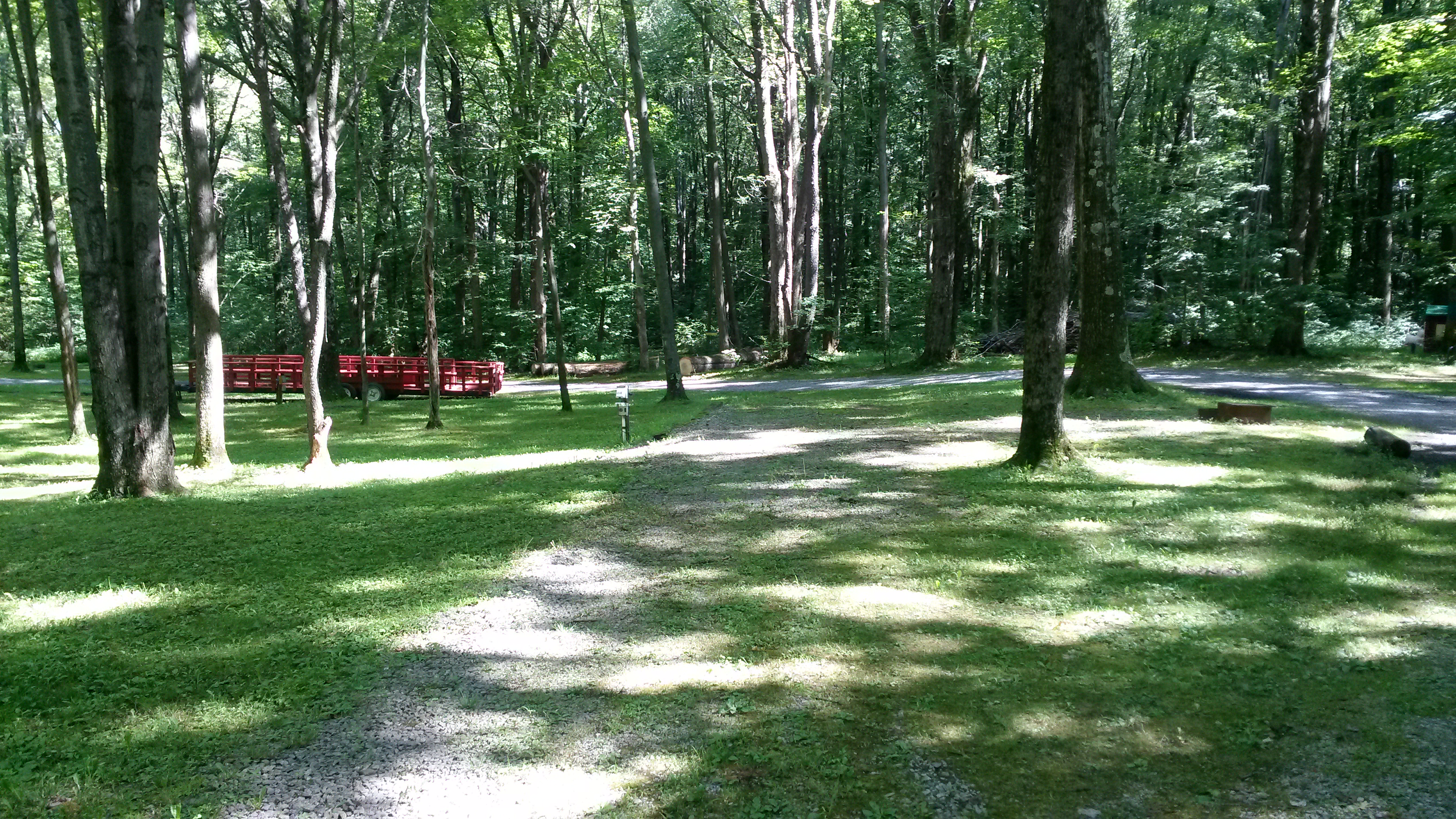 Site 129