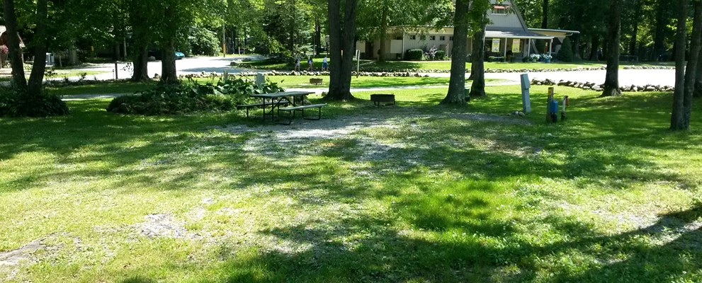 Site 9