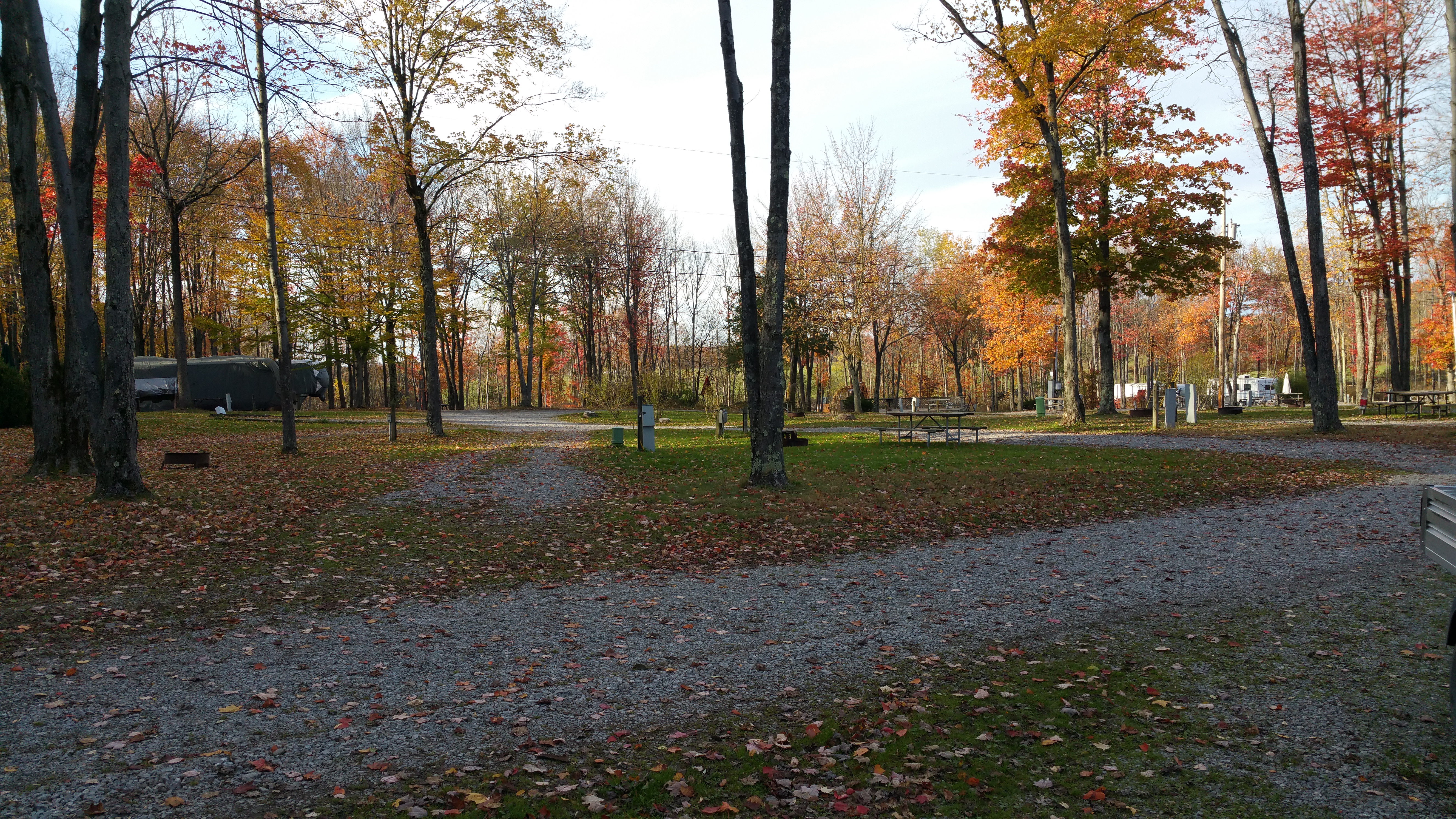 Site 22