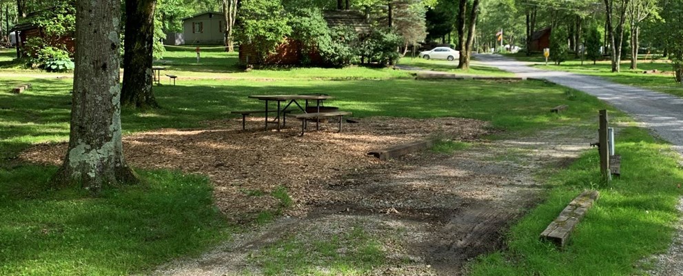 Site 75