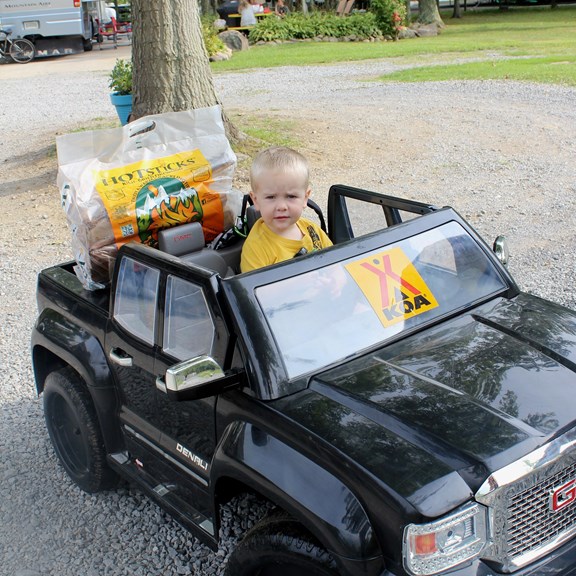 We have the cutest firewood delivery drivers!