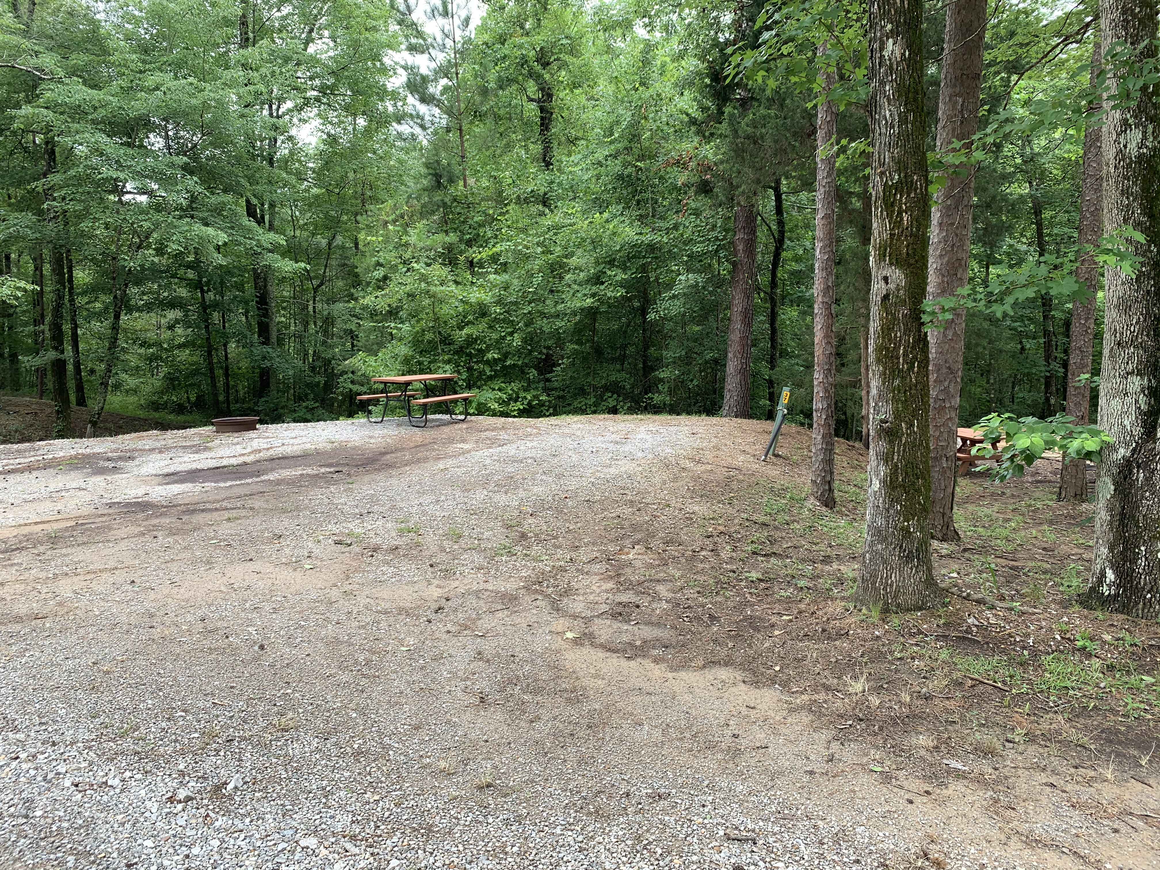 Site 37
