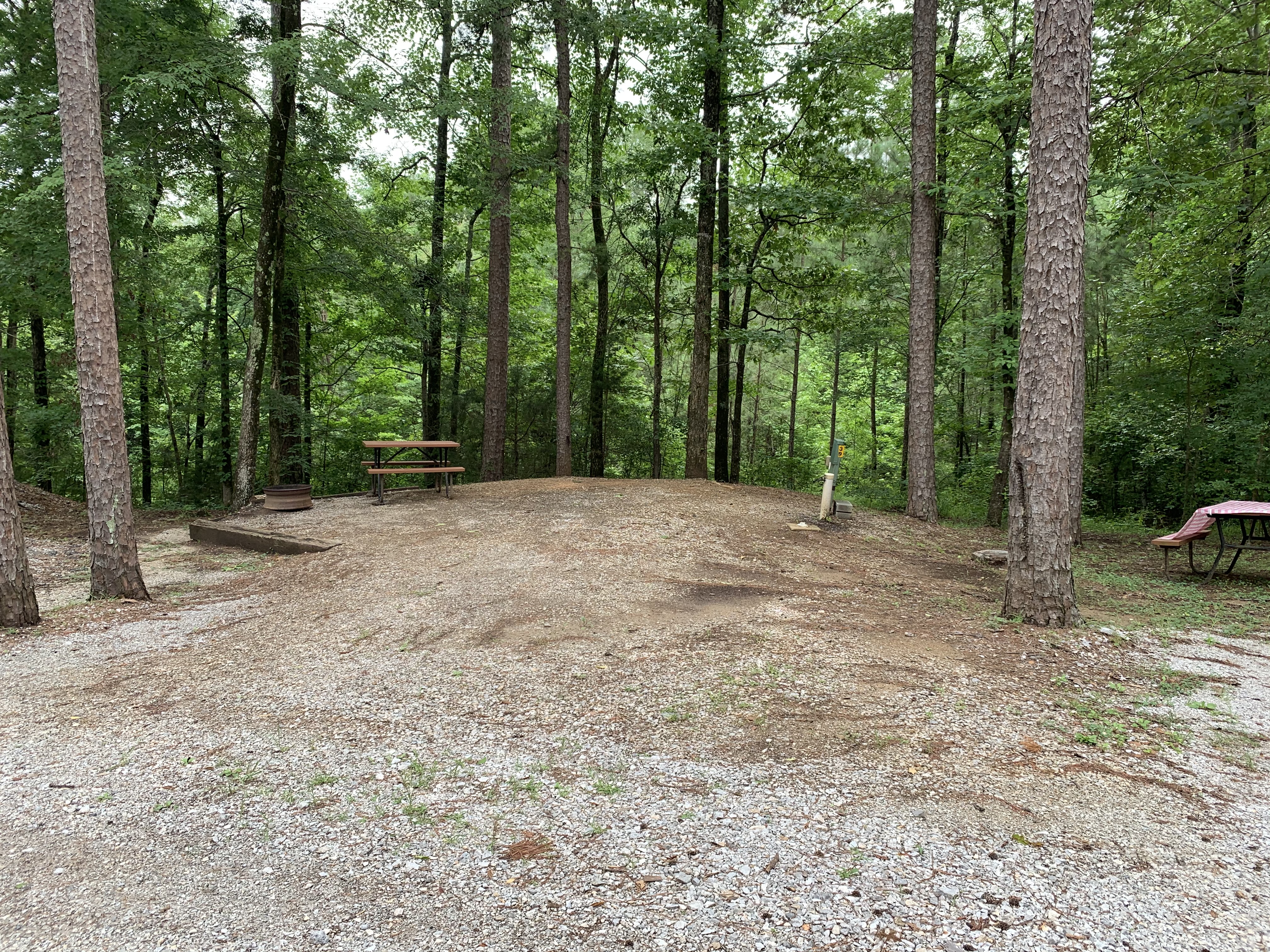 Site 39