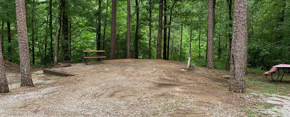 Site 39