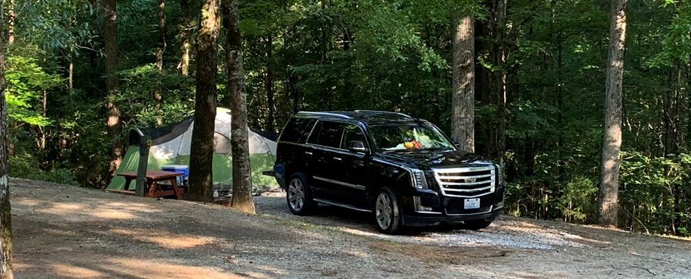 Tent Site