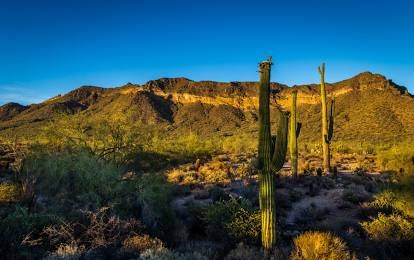 Usery Mountain Regional Park