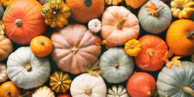 Apache Junction Halloween Festival