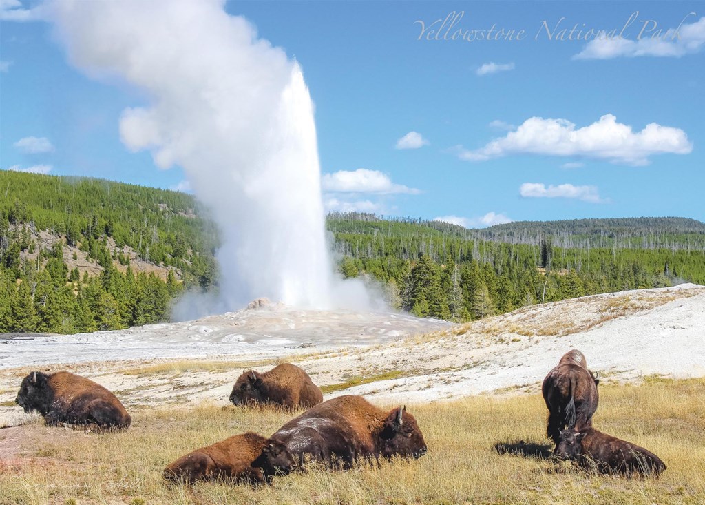 Why is Montana great to visit?