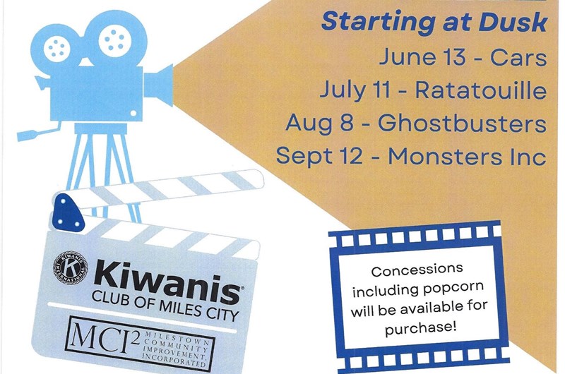 Movies In the Park Photo