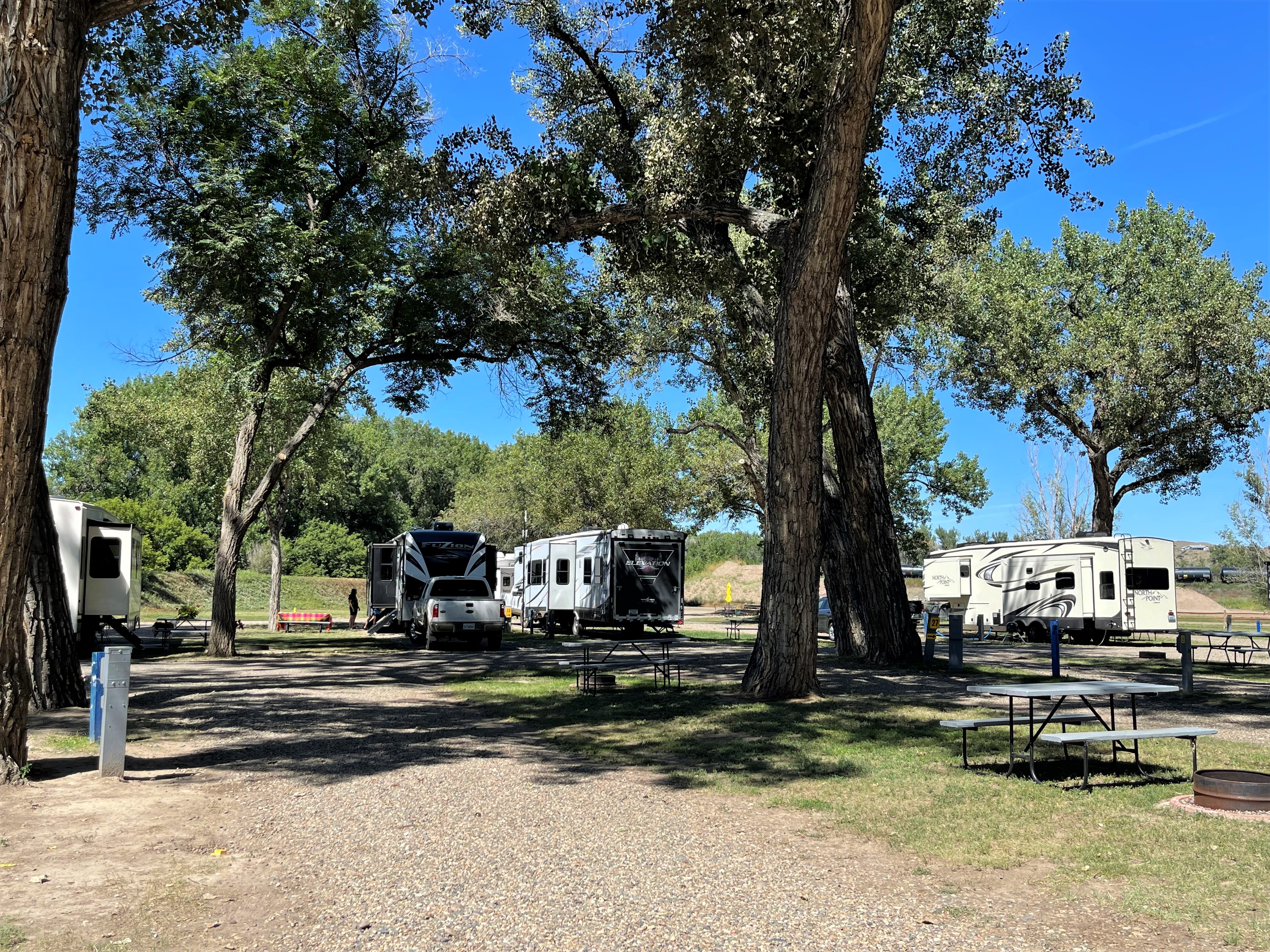 Site 29