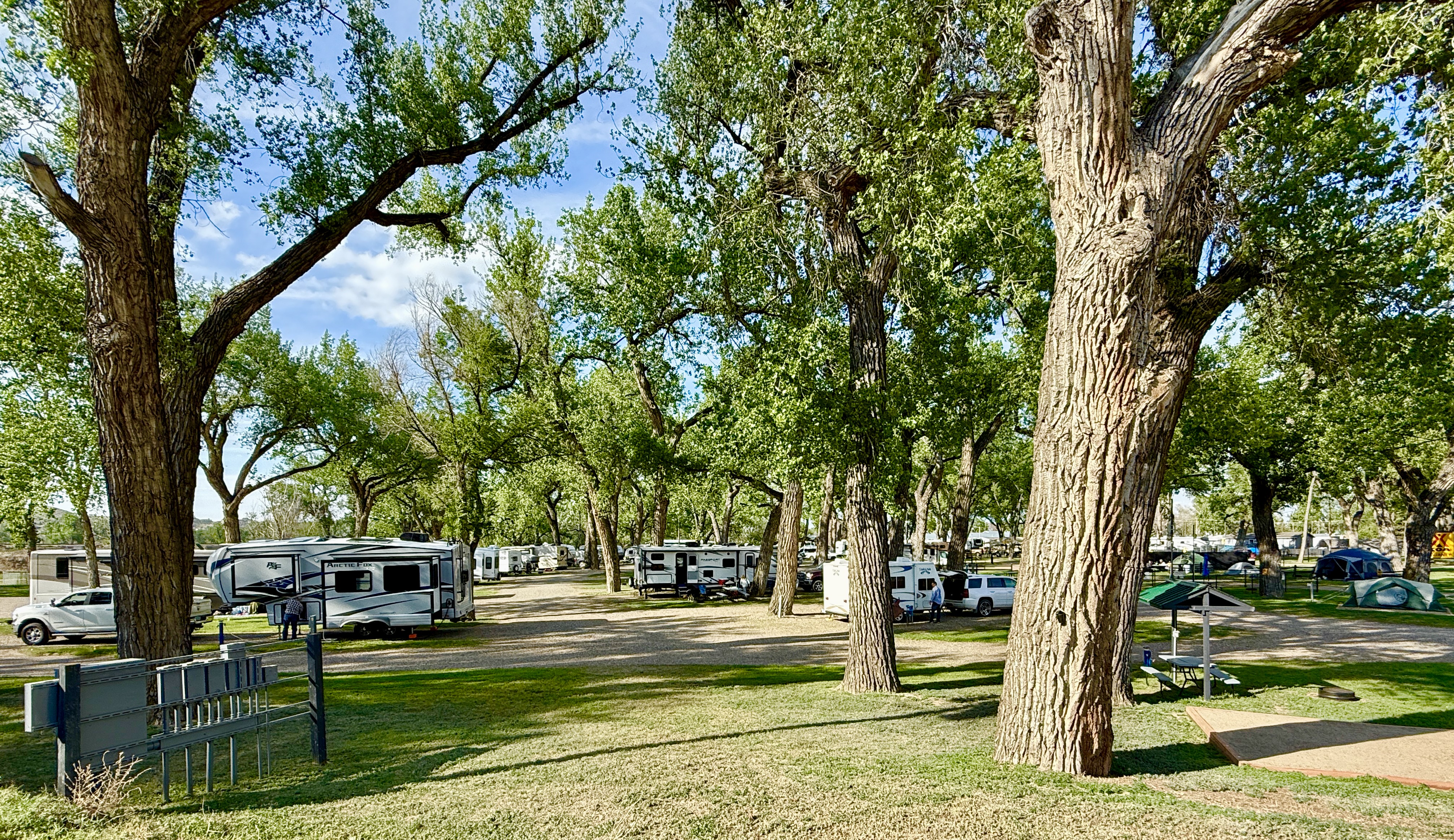View of Park