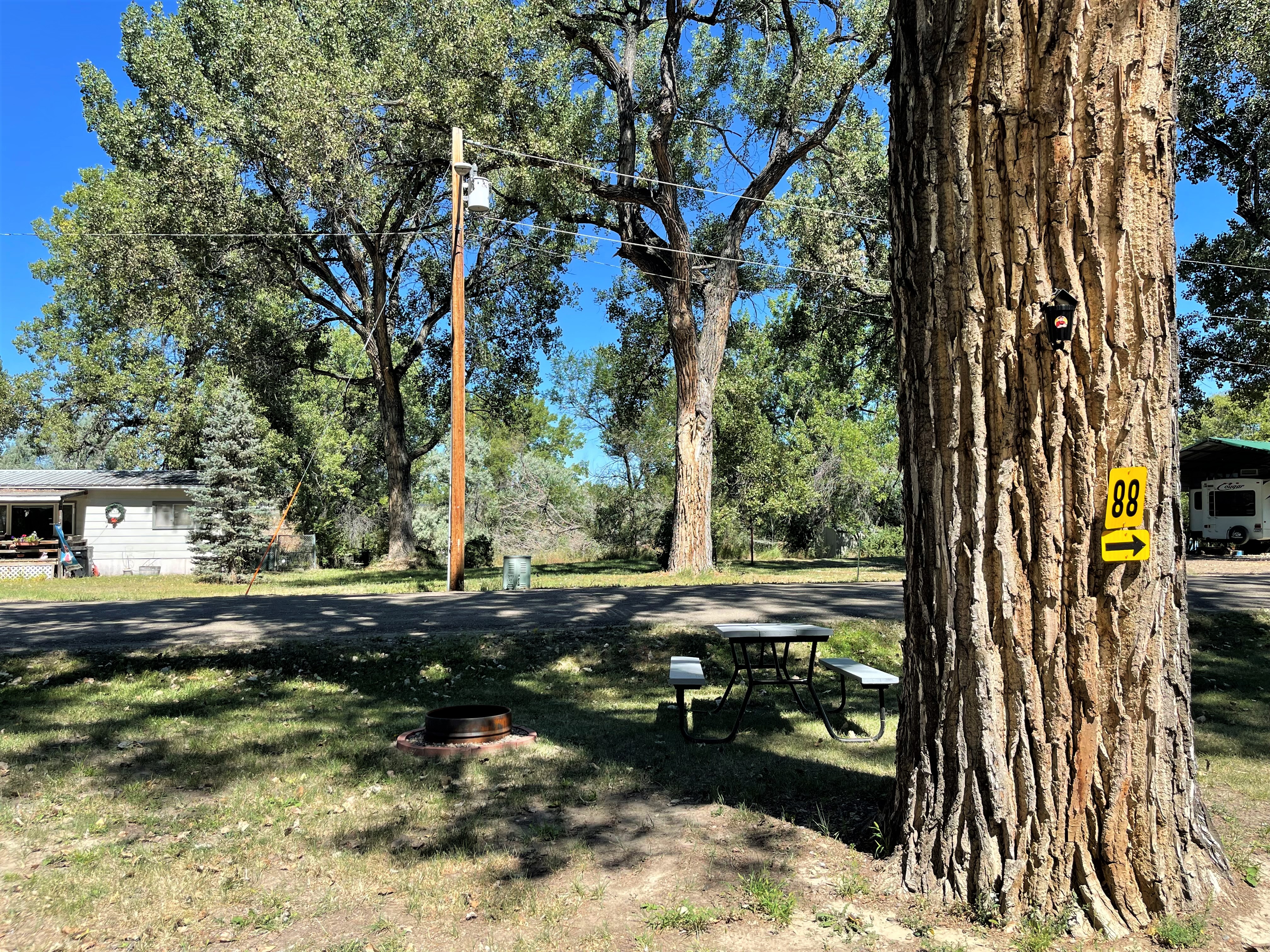 Tent Site 88