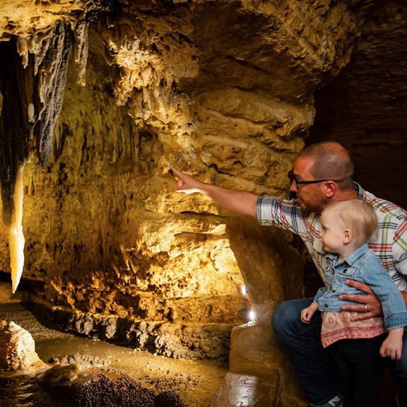 Cave of the Mounds