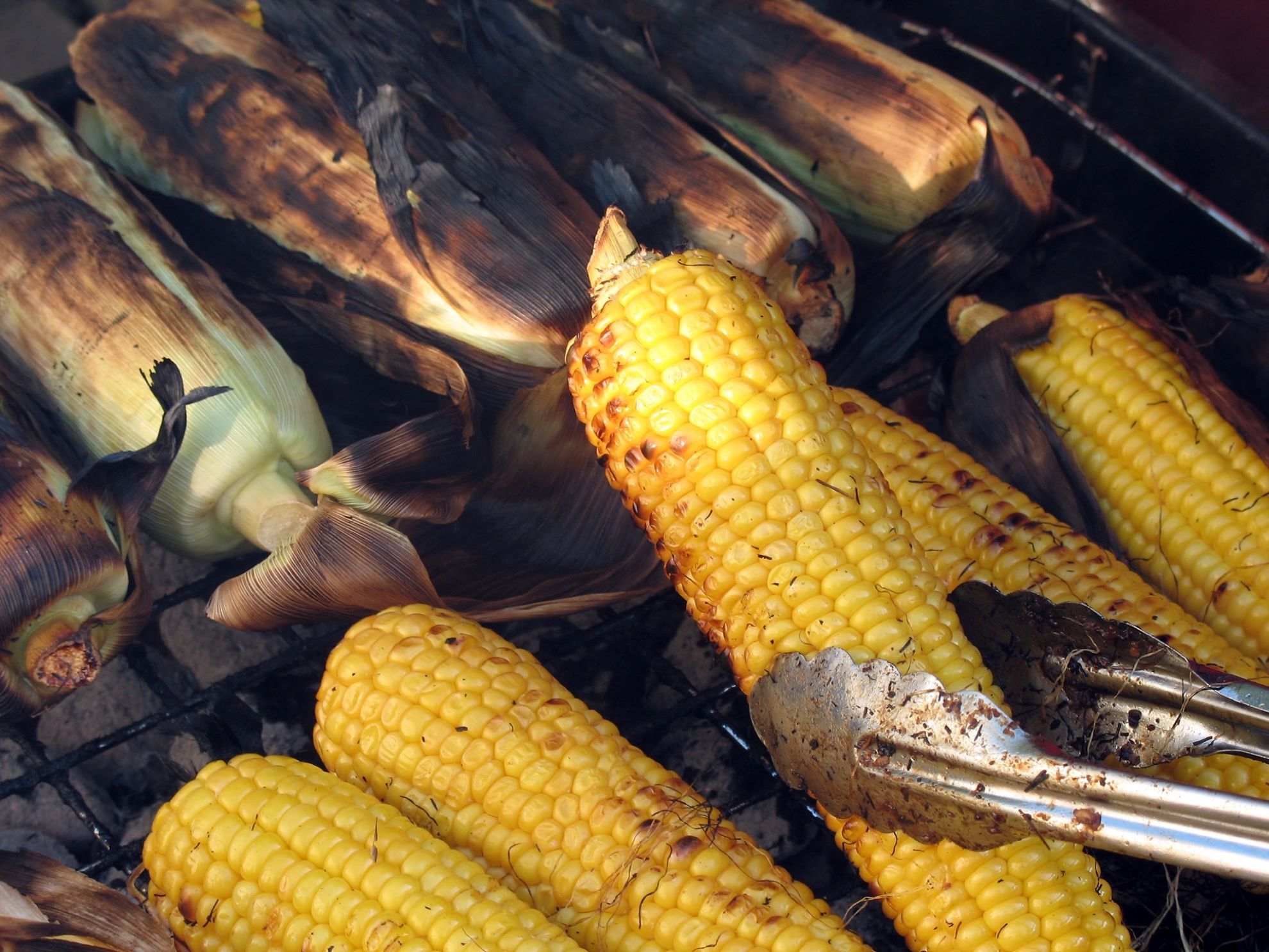 Corn Roast 1 Photo