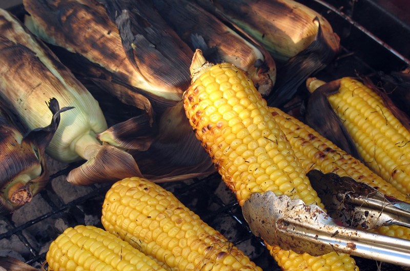 Corn Roast 2 Photo
