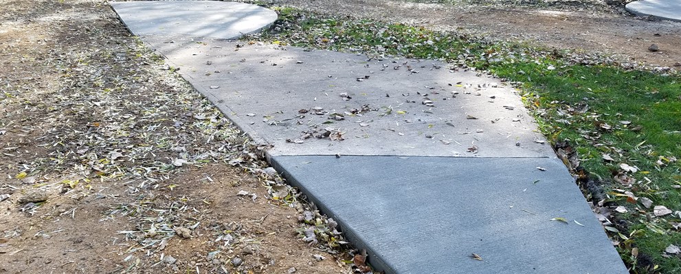 Site 100 Patio site - 2018