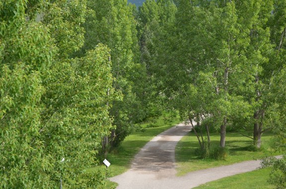 Hiking and Biking