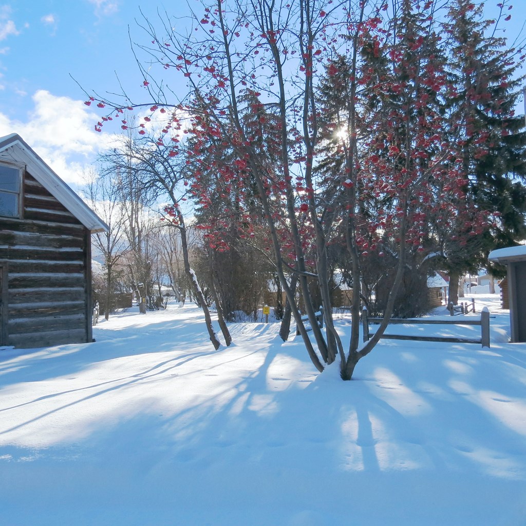 * Winter Camping Available with VERY LIMITED SERVICES *