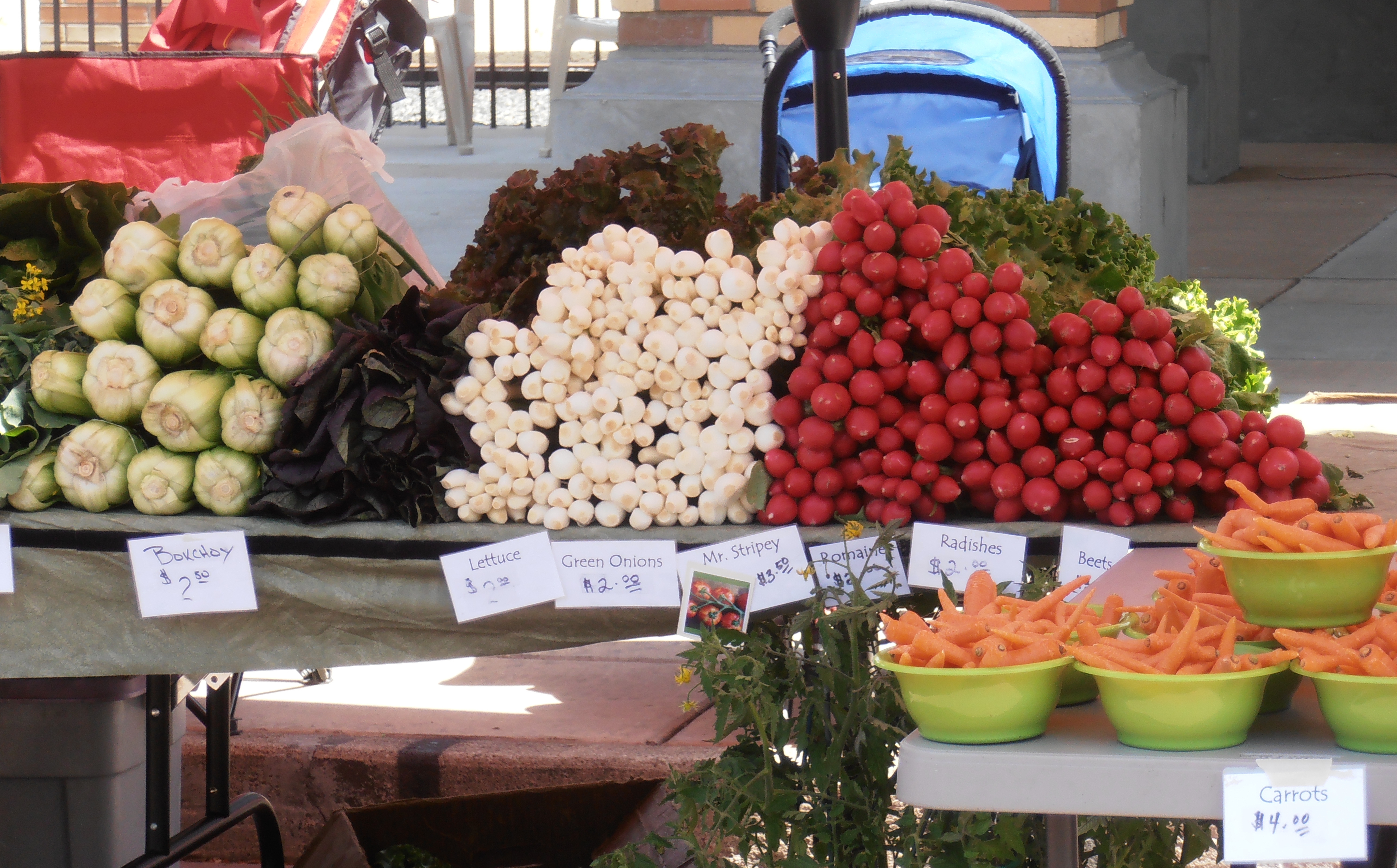 Missoula Farmer's Market - mid May to mid October Photo