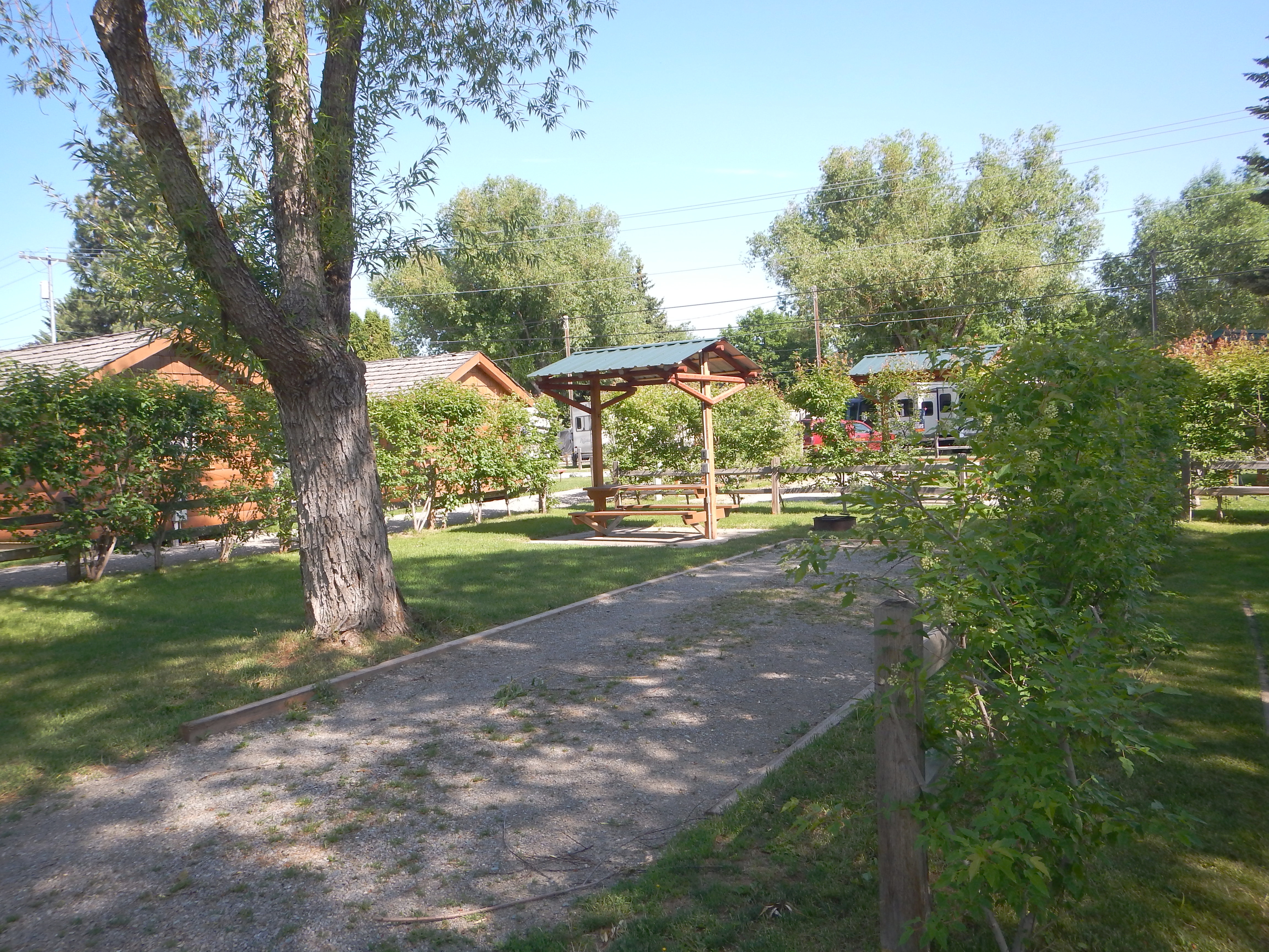 Premium Tent sites: Level site, designated parking area