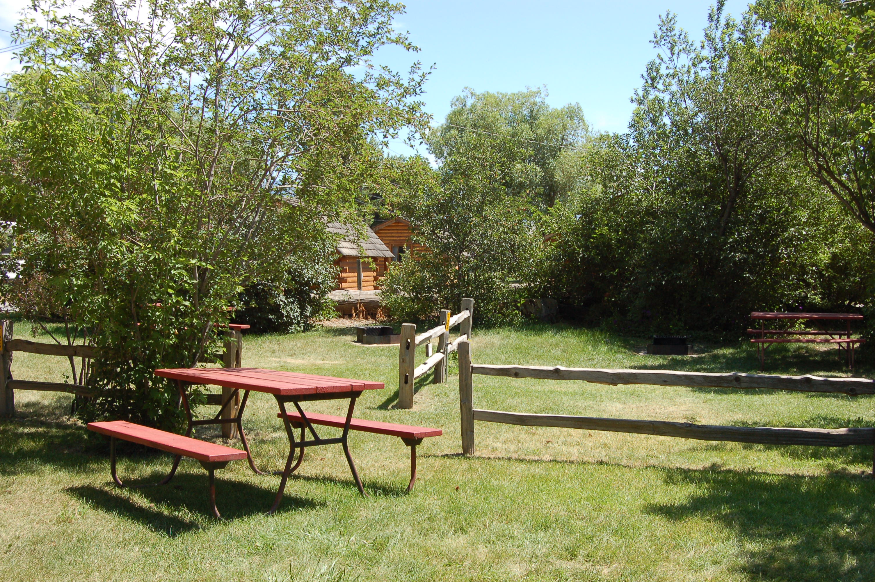 04) Grassy tent sites
